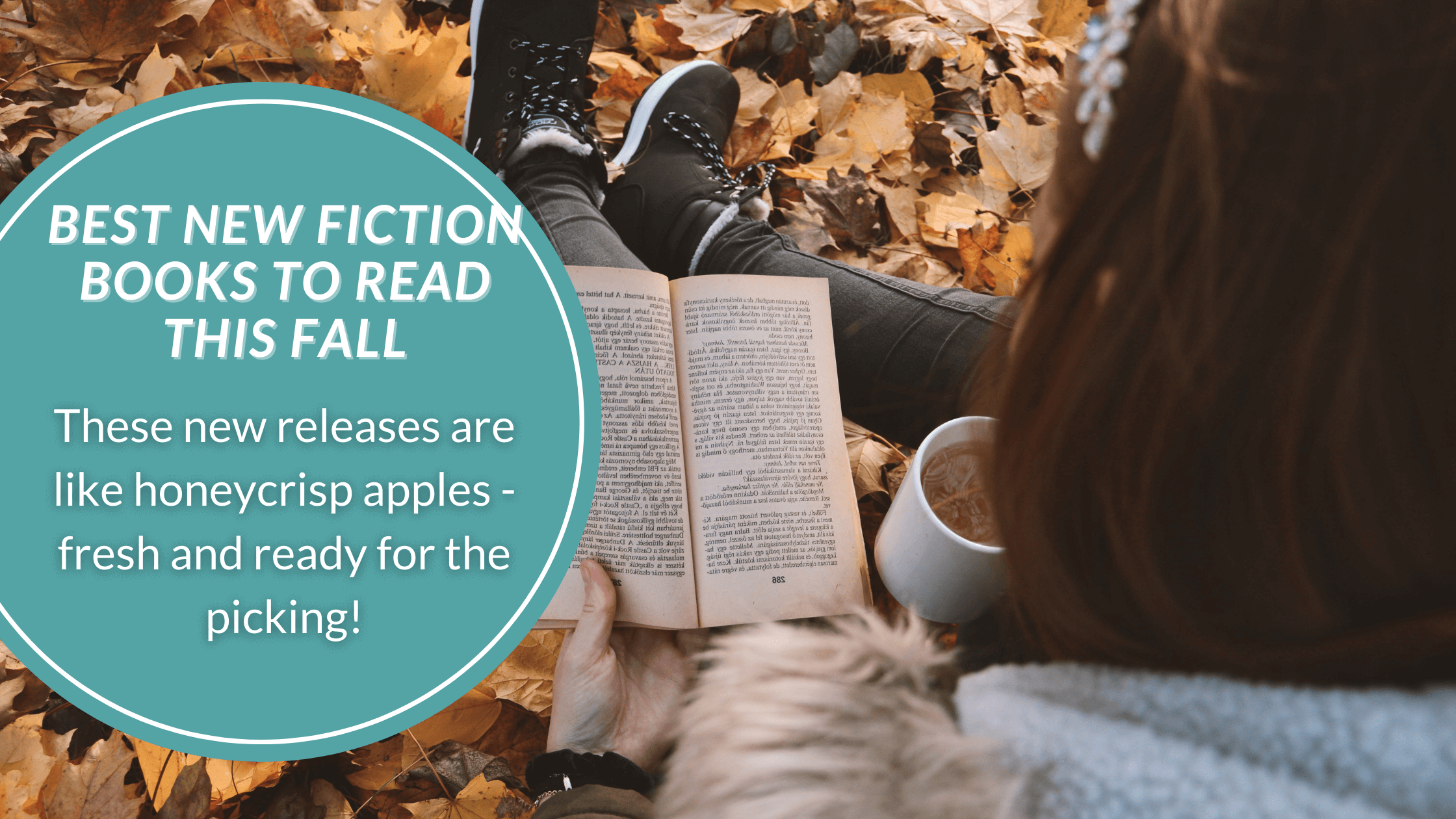 Best New Fiction Books to Read this Fall 2023 Audry Fryer